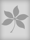 Buckeye leaf illustration