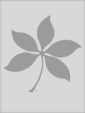 Buckeye leaf