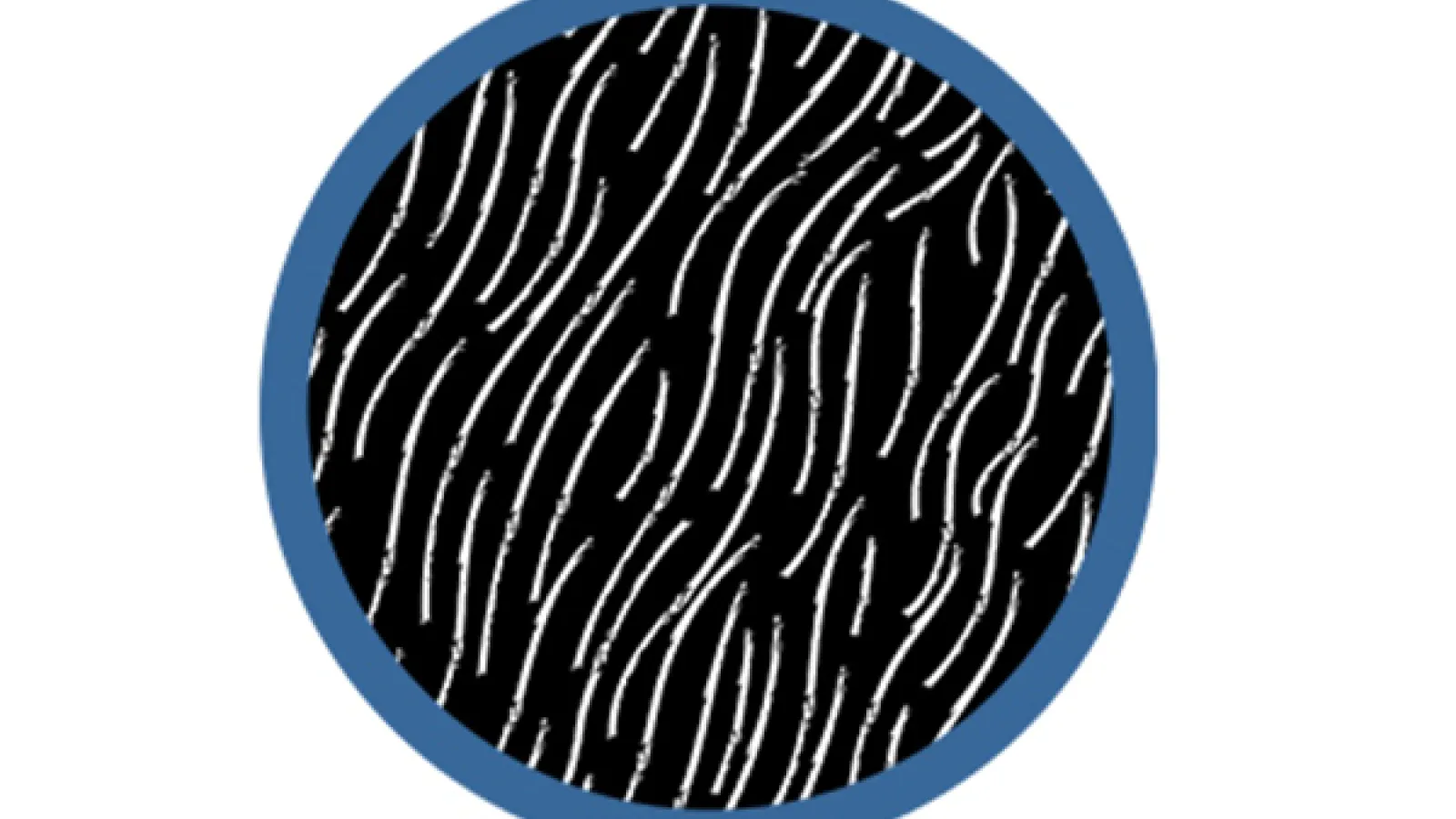 Blue circle with black and white illustration inside