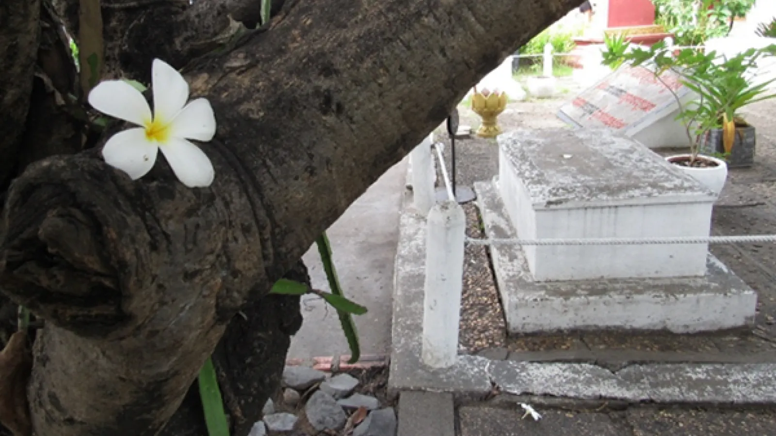 Fourteen unmarked graves rest in a garden outside of Tuol Sleng. They memorialize the victims who remain unknown.
