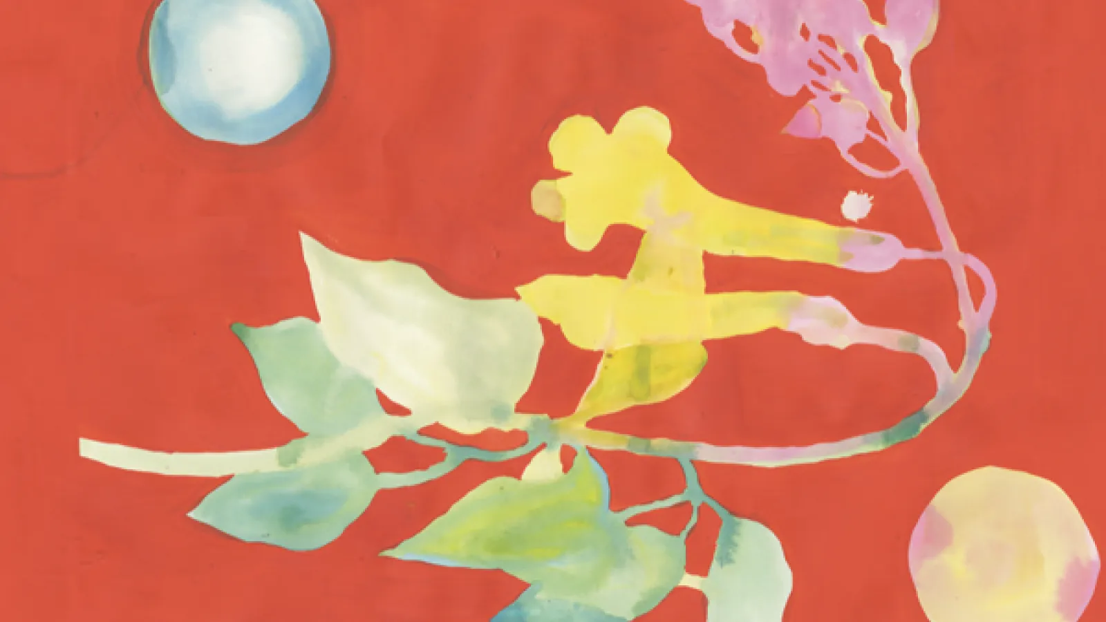 Colorful abstract painting of flowers