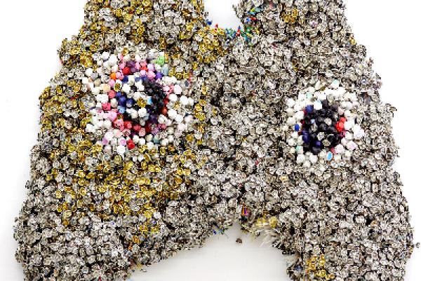 Art in sequins