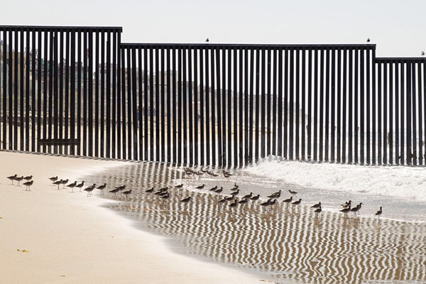 Photograph of border fence dividing beach