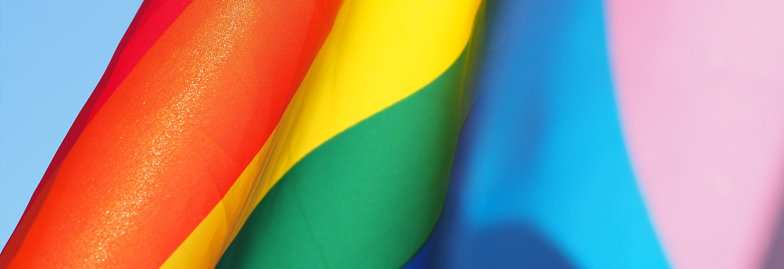 Photograph of pride flag