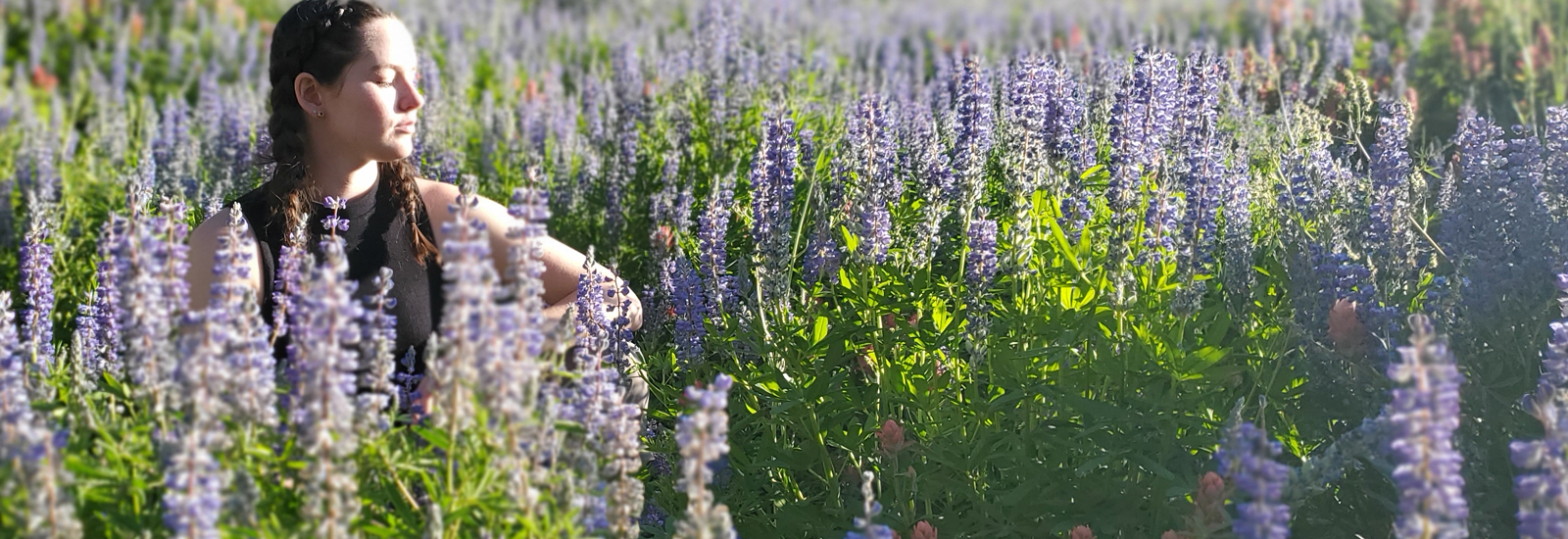 Photograph of woman sitting in field of purple flowers