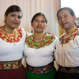 Wiñay Kayambis