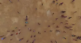 travelers walking across a desert